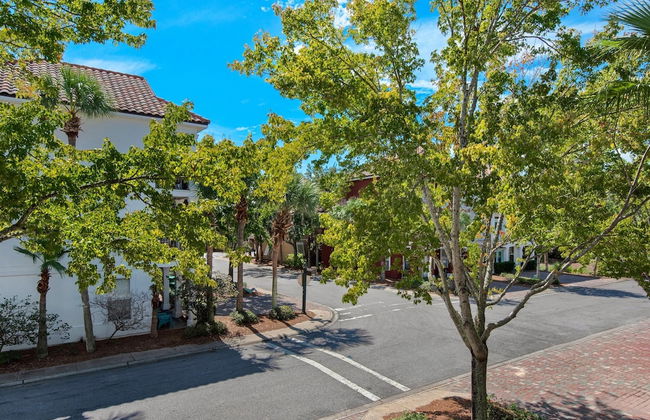 Shell Yeah! - Foto 49