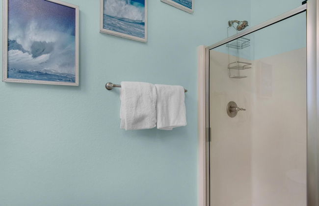 Shell Yeah! - Foto 25