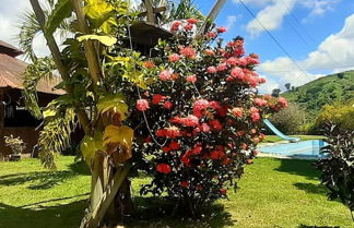 Photo 3 - hotel fazenda tirolesa park