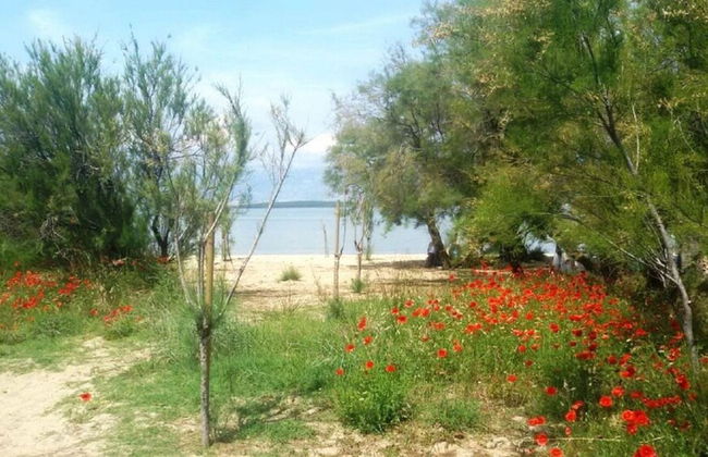 Dragi - With Pool - A6 - Foto 16