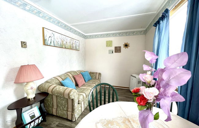 Multicultural Museum Cottages - Foto 53