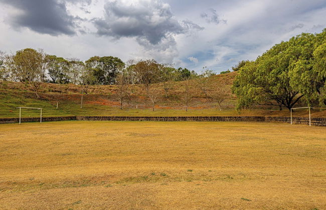 Fazenda Realeza - Foto 70
