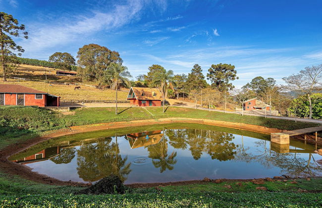 Fazenda Realeza - Foto 71