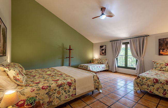 Fazenda Realeza - Foto 13