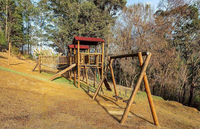 Fazenda Realeza - Foto 73