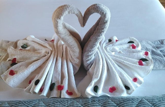 SİFLA BUNGALOV & RESTURANT - Photo 11