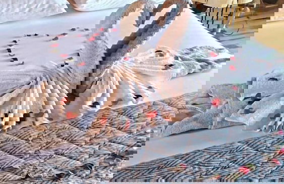 SİFLA BUNGALOV & RESTURANT - Photo 13