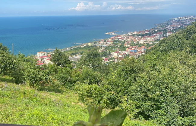 SİFLA BUNGALOV & RESTURANT - Photo 61