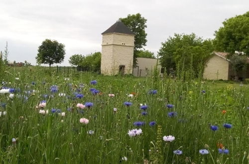 Photo 41 - Château Pierre de Montignac