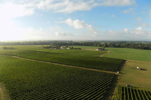 Photo 28 - Château Pierre de Montignac