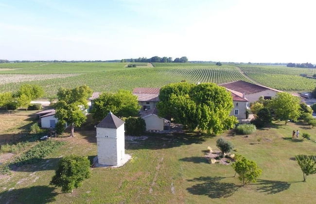 Château Pierre de Montignac - Foto 44