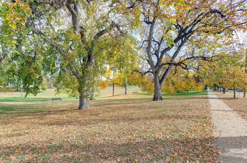 Photo 22 - Jefferson Park Apartment: Walk to Empower Field