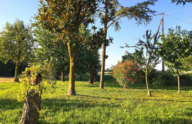 Ca' Rosin Meolo - Camera relax e privacy - Foto 8