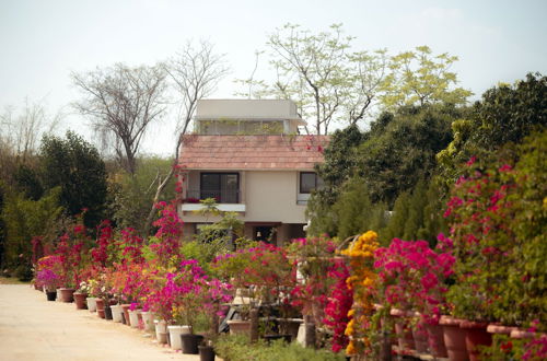 Photo 39 - Villa Olives Vanashraya