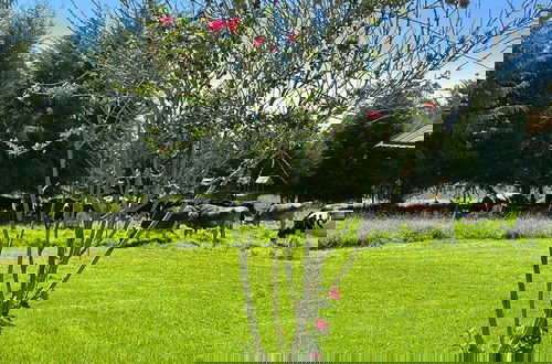Photo 8 - Grandfather´s Farm - Disfruta de la Naturaleza en un Lindo Flat