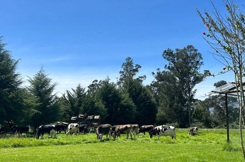 Photo 8 - Grandfather´s Farm - Disfruta de la Naturaleza en un Lindo Flat