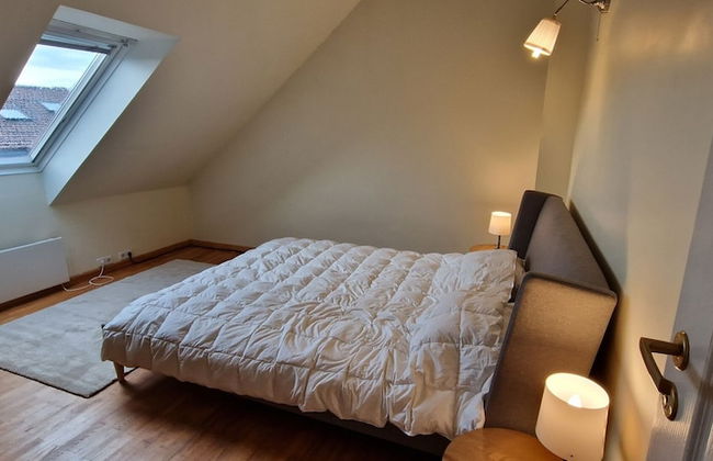 TyzenXL Luxury Vilnius Apartment - Foto 9