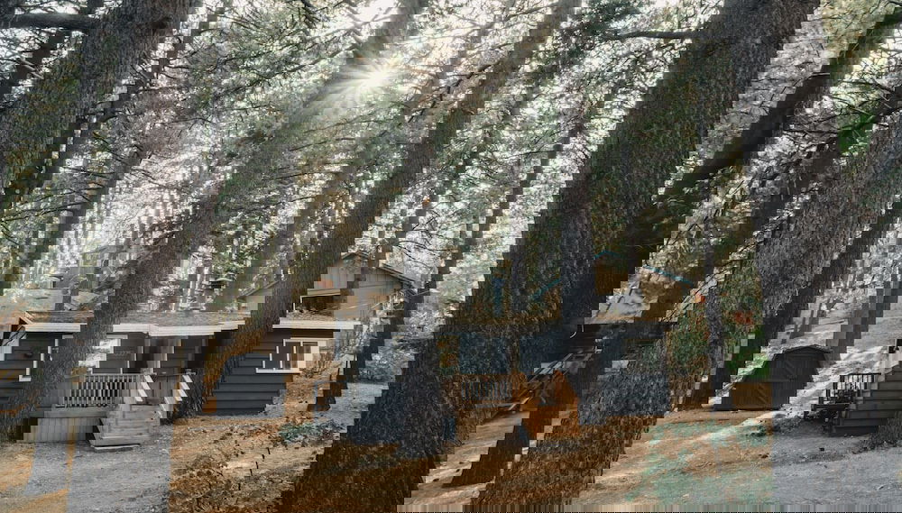 Imagem principal