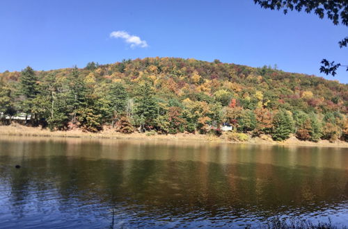 Photo 34 - Pocono Dog-Friendly Home on River