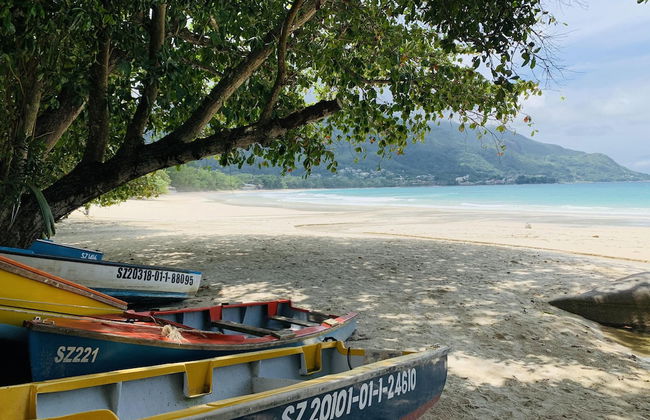 Oceanic View Apartments - Foto 71