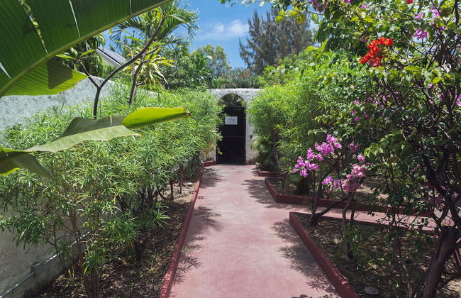 Ilet du Lagon - Foto 33