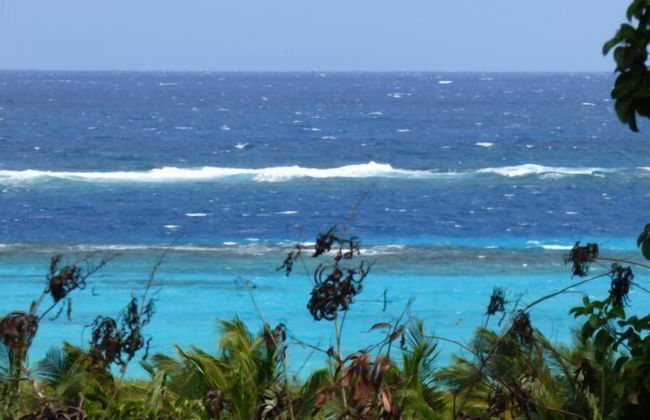 Milly's Inn - Foto 40