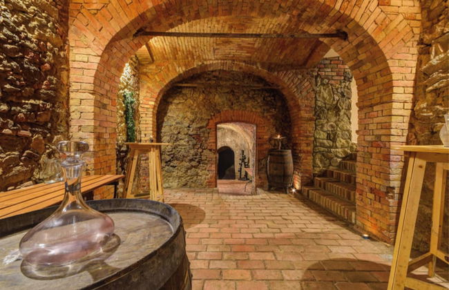 Charming Czech Countryside Retreat in Znojmo - Foto 10