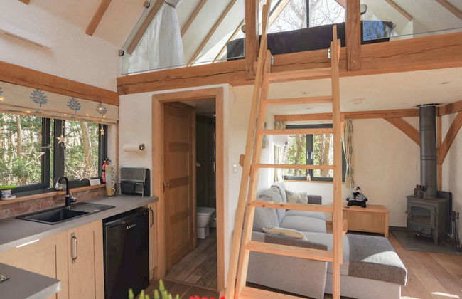 Woodland Cabin Retreat in Alfriston - hot tub - Foto 8