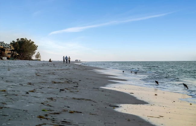 Stones Throw Beachfront Premier Suite 4 Views - Foto 17