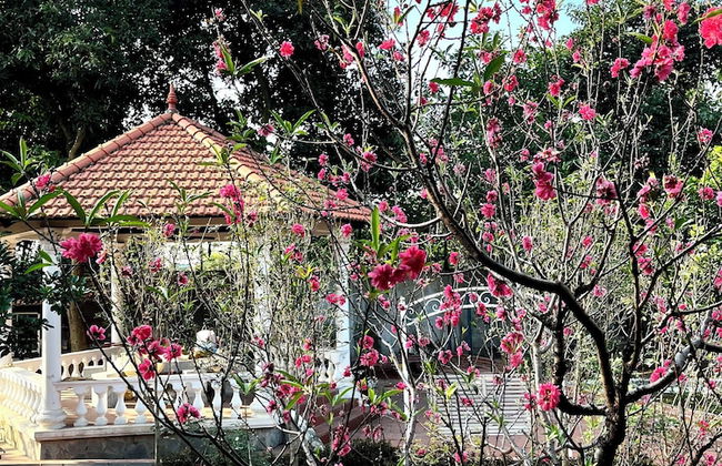 J'adore Garden House - Vinh Yen - Foto 16