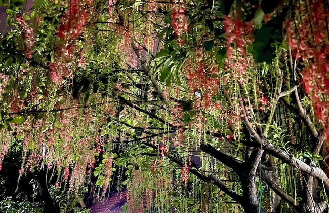 J'adore Garden House - Vinh Yen - Foto 20