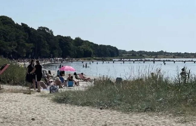 4 Star Holiday Home in Solvesborg - Foto 1