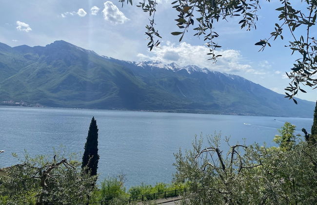 Apartment in Limone sul Garda - Foto 14