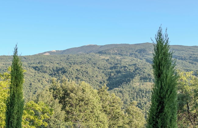 Launiur - Foto 40