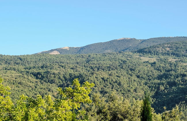 Launiur - Foto 39