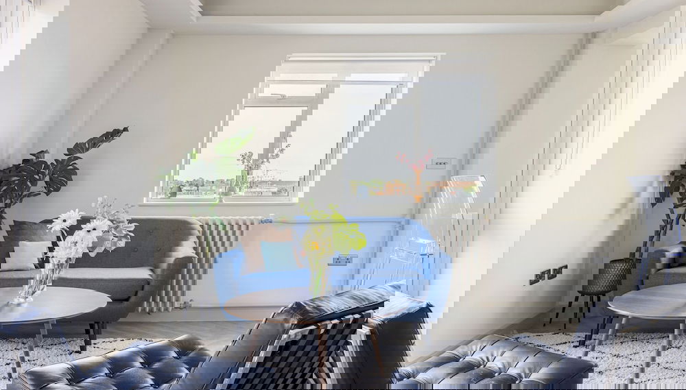 Imagem principal