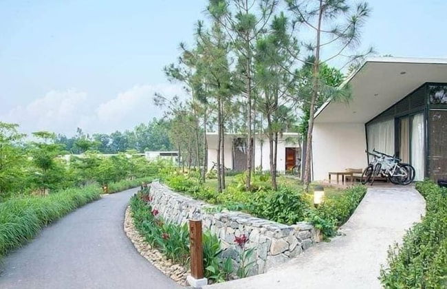 Flamingos Dai Lai Resort Luxury - Foto 71