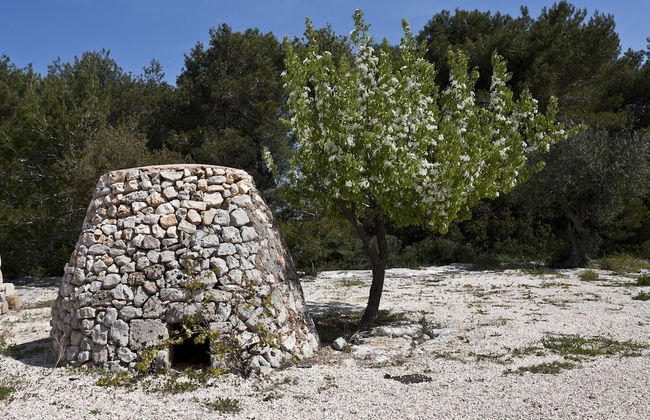 Borgo del Sole Salento - Foto 76