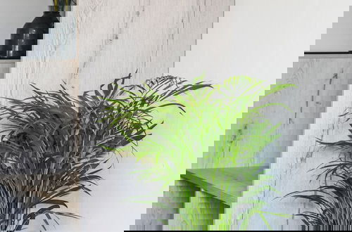 Foto 4 - Giabeos