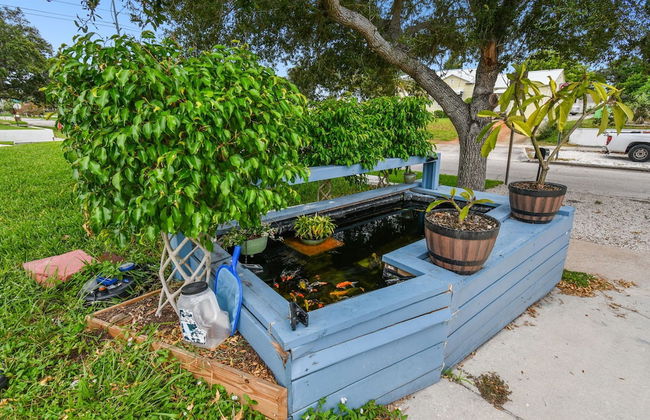 The Tampa Oasis - Photo 57