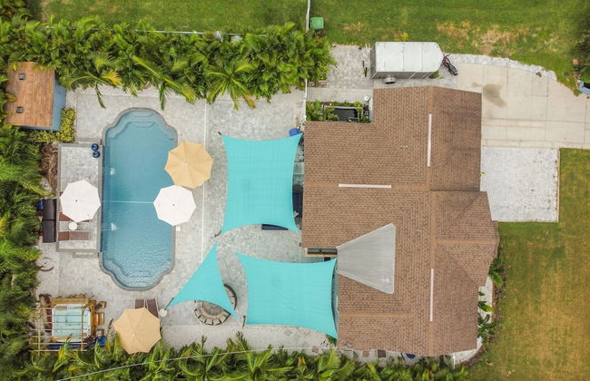 The Tampa Oasis - Photo 47