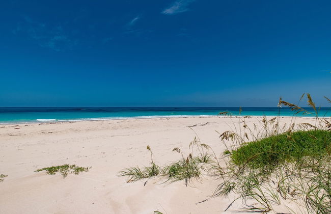 Bohemia Bungalow - Two 1 Bedroom Home - Foto 19