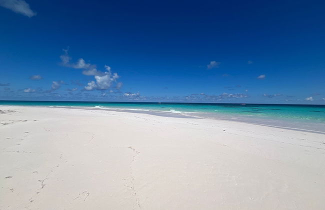 Bohemia Bungalow - Two 1 Bedroom Home - Foto 22