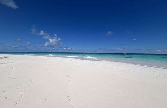 Bohemia Bungalow Three 1 Bedroom Home - Foto 21