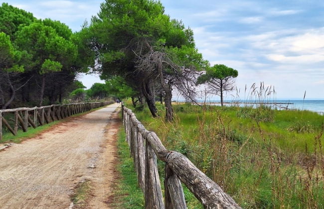 Lovely Flat Only 200m From the sea - Beahost - Foto 8