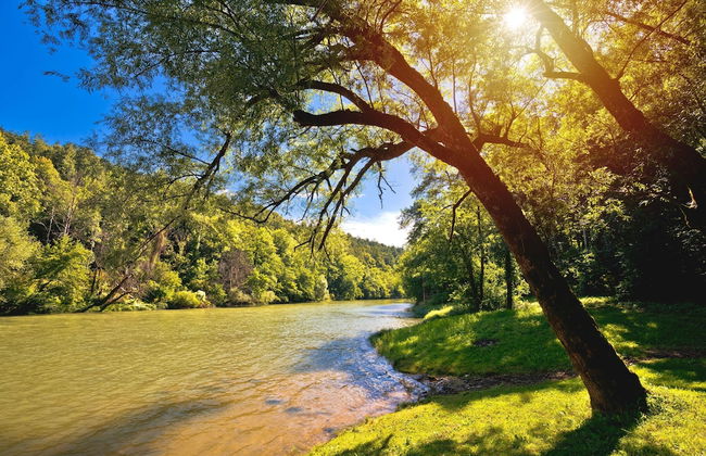 Wellness House On The River Kupa - Foto 34