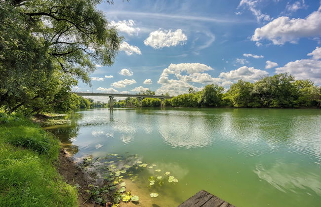 Wellness House On The River Kupa - Foto 35