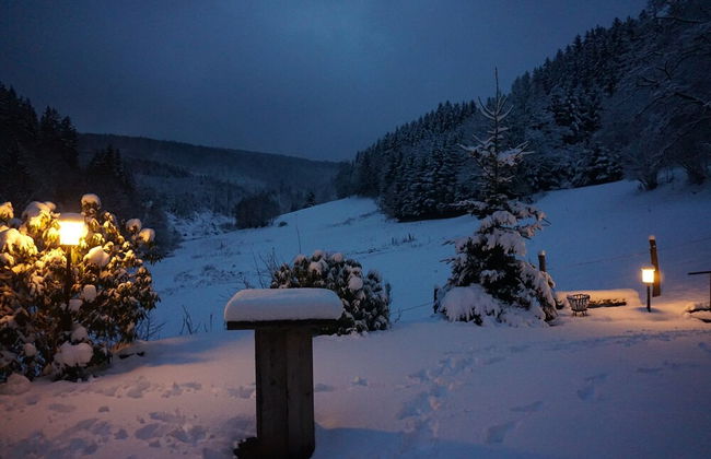 Large House in Winterberg in the Sauerland Region - Photo 59