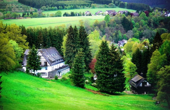 Exclusive Group House in Winterberg in the Forest - Foto 59