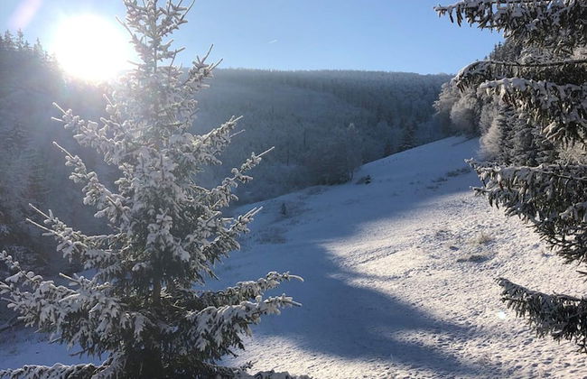 Exclusive Group House in Winterberg in the Forest - Foto 71